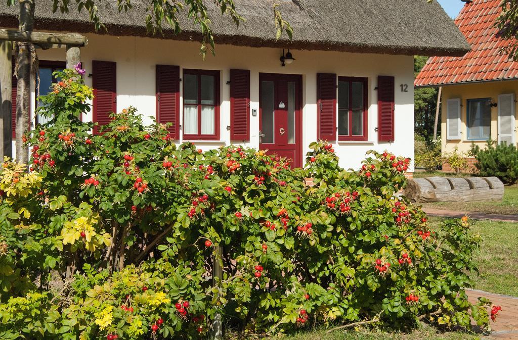 Dünenresidenz - Haus Luisa